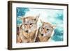 Coyote Pair & Blue Winter Sky-null-Framed Art Print