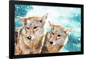 Coyote Pair & Blue Winter Sky-null-Framed Art Print