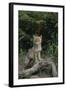 Coyote Pup-DLILLC-Framed Photographic Print