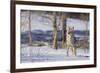 Coyote-DLILLC-Framed Photographic Print