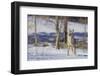 Coyote-DLILLC-Framed Photographic Print