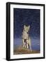 Coyote-DLILLC-Framed Photographic Print