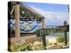 Cozumel Island (Isla De Cozumel), Quintana Roo, Mexico, Caribbean, North America-Wendy Connett-Stretched Canvas