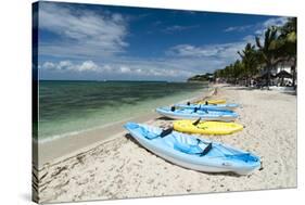Cozumel Island, Quintana Roo, Mexico, North America-Sergio Pitamitz-Stretched Canvas
