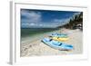 Cozumel Island, Quintana Roo, Mexico, North America-Sergio Pitamitz-Framed Photographic Print