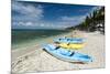 Cozumel Island, Quintana Roo, Mexico, North America-Sergio Pitamitz-Mounted Photographic Print