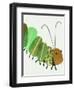 Cozy Corner Caterpillar -Right-Jenny Westenhofer-Framed Art Print