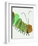 Cozy Corner Caterpillar -Right-Jenny Westenhofer-Framed Art Print