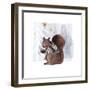 Cozy Woodland Animal II-Victoria Borges-Framed Art Print