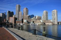 Boston-cpenler-Stretched Canvas