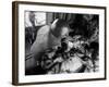 Cpl. James Farley and Pfc. Wayne Hoilien Bandaging Sgt. Billie Owens' Shoulder, Yankee Papa 13-Larry Burrows-Framed Photographic Print