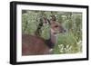 CQ2R6315Bush Buck-Bob Langrish-Framed Giclee Print