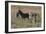 CQ2R6804Zebra - Burchells-Bob Langrish-Framed Giclee Print