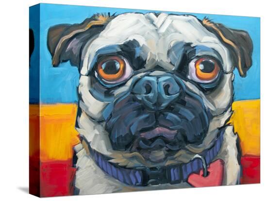 Stretched Canvas Print, , large