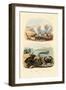 Crab, 1833-39-null-Framed Premium Giclee Print