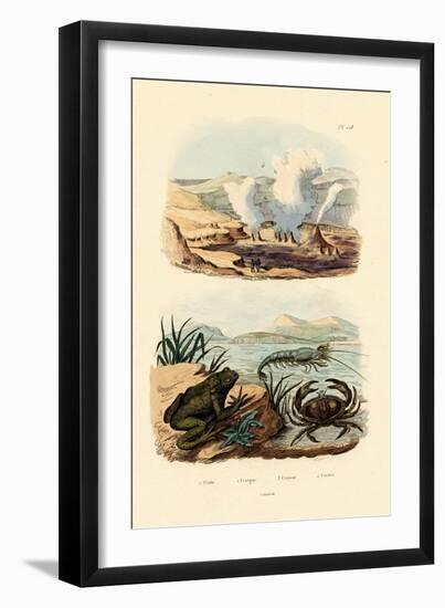 Crab, 1833-39-null-Framed Premium Giclee Print
