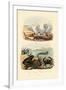 Crab, 1833-39-null-Framed Giclee Print