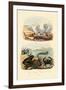 Crab, 1833-39-null-Framed Giclee Print