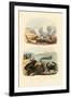 Crab, 1833-39-null-Framed Giclee Print