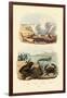 Crab, 1833-39-null-Framed Giclee Print