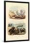 Crab, 1833-39-null-Framed Giclee Print