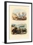 Crab, 1833-39-null-Framed Giclee Print