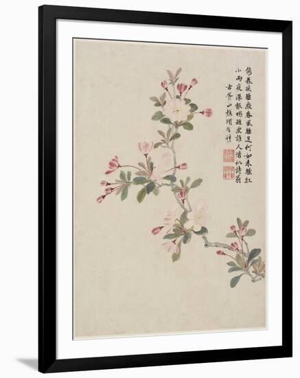 Crab-Apple Blossom from a Flower Album of Ten Leaves, 1656-Shengmo Xiang-Framed Giclee Print