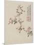 Crab-Apple Blossom from a Flower Album of Ten Leaves, 1656-Shengmo Xiang-Mounted Giclee Print