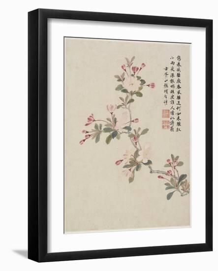 Crab-Apple Blossom from a Flower Album of Ten Leaves, 1656-Shengmo Xiang-Framed Giclee Print