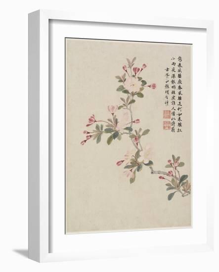 Crab-Apple Blossom from a Flower Album of Ten Leaves, 1656-Shengmo Xiang-Framed Giclee Print