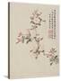 Crab-Apple Blossom from a Flower Album of Ten Leaves, 1656-Shengmo Xiang-Stretched Canvas