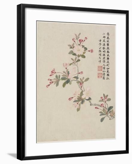 Crab-Apple Blossom from a Flower Album of Ten Leaves, 1656-Shengmo Xiang-Framed Giclee Print