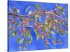 Crab Apple III-Sharon Pitts-Stretched Canvas