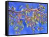 Crab Apple III-Sharon Pitts-Framed Stretched Canvas