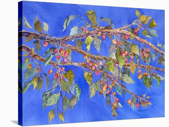 Crab Apple III-Sharon Pitts-Stretched Canvas