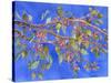 Crab Apple III-Sharon Pitts-Stretched Canvas