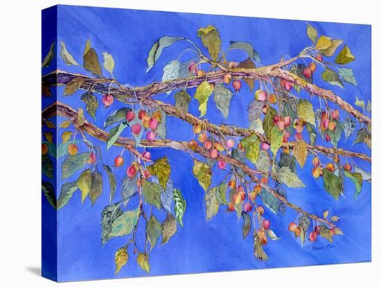 Crab Apple III-Sharon Pitts-Stretched Canvas