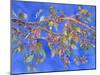 Crab Apple III-Sharon Pitts-Mounted Giclee Print