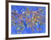 Crab Apple III-Sharon Pitts-Framed Giclee Print