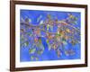 Crab Apple III-Sharon Pitts-Framed Giclee Print