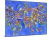 Crab Apple III-Sharon Pitts-Mounted Giclee Print