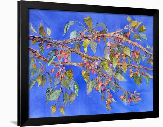 Crab Apple III-Sharon Pitts-Framed Giclee Print