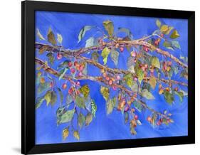 Crab Apple III-Sharon Pitts-Framed Giclee Print