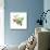 Crab Apple-Sally Crosthwaite-Mounted Giclee Print displayed on a wall