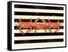 Crab Dance-Marcus Prime-Framed Stretched Canvas