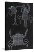 Crab Development-Philip Henry Gosse-Stretched Canvas