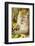 Crab-Eating (Long-Tailed) Macaque Monkey-Rob-Framed Photographic Print