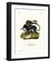 Crab-Eating Macaque-null-Framed Giclee Print