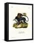 Crab-Eating Macaque-null-Framed Stretched Canvas