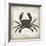 Crab I-Erin Clark-Framed Giclee Print